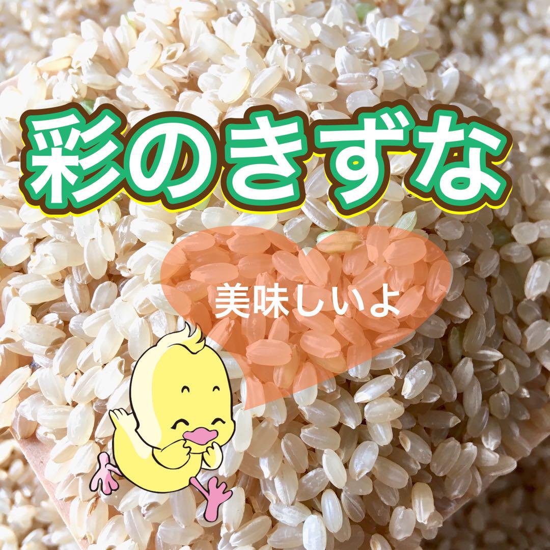 【農家直送】新米　彩のきずな 令和6年度産 埼玉県産 玄米 20㎏