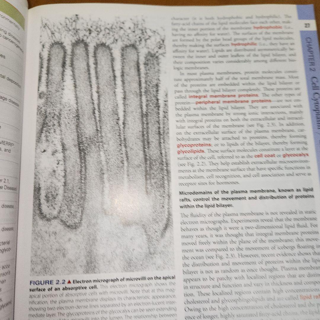 Histology: A Text and Atlas 7Edition