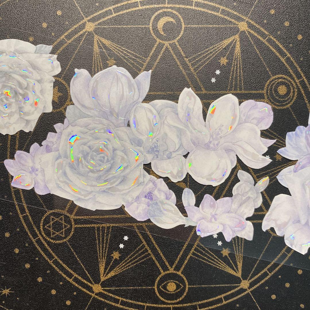 マステ 巻
