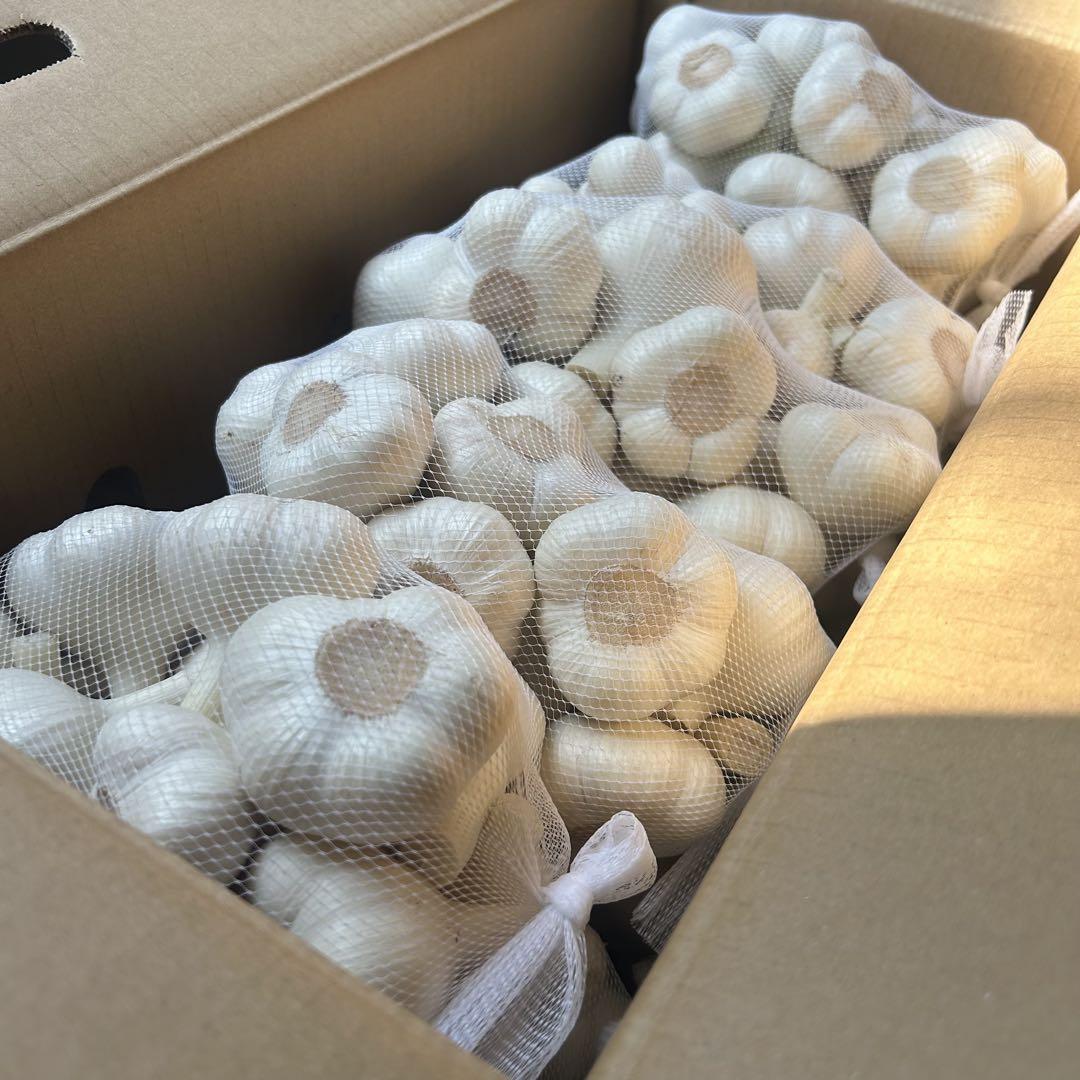 【期間限定】新物 青森県産 生にんにく A品 L 5kg福地ホワイト六片 期間限定】新物 青森県産 生にんにく A品 2L 5kg福地ホワイト六