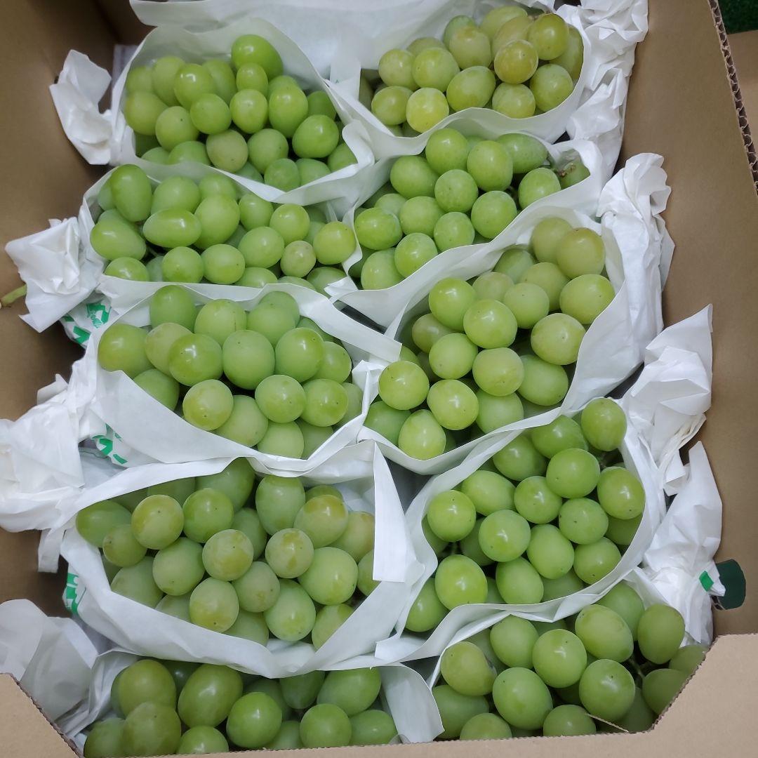 1⃣ 山梨県産 シャインマスカット １１房 箱込み4.7キロ ①