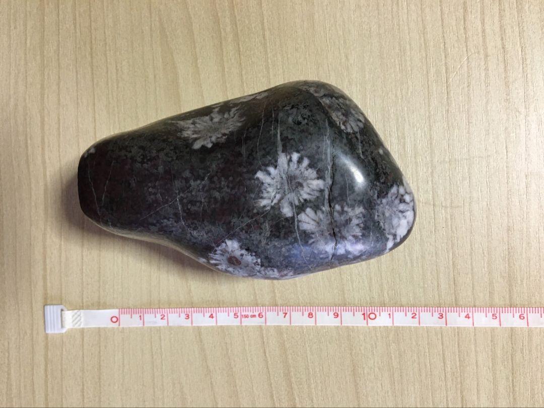 貴重　美しい菊花石　鑑賞石　菊花石　台座付