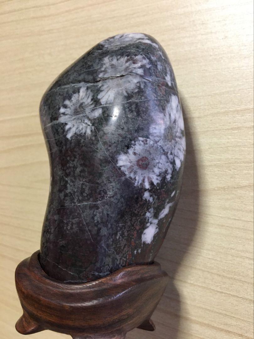 貴重　美しい菊花石　鑑賞石　菊花石　台座付