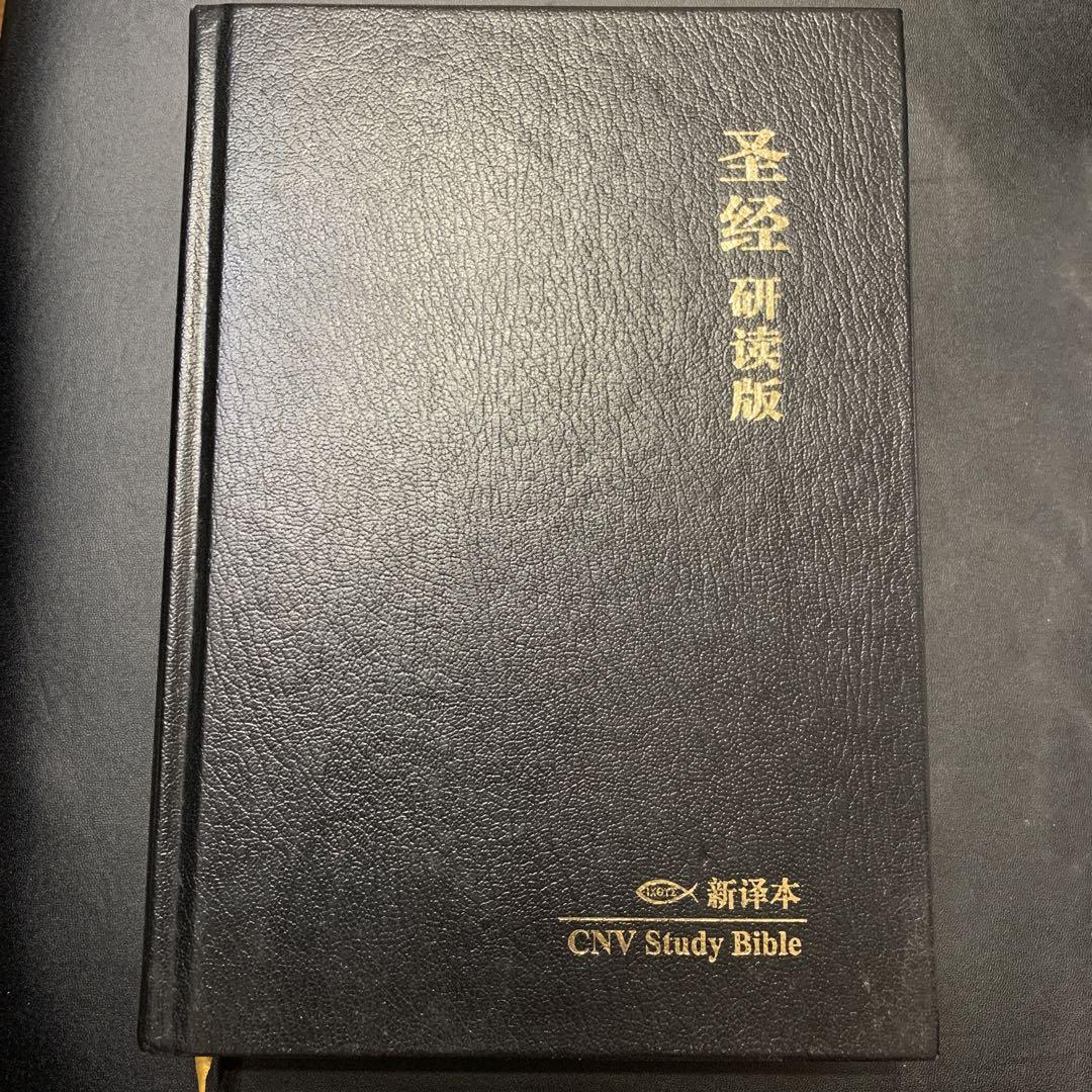 聖書 圣经 中国語 新約 旧約 - メルカリ