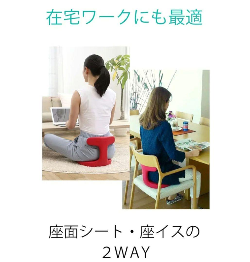 アーユルチェアー メディカルシート(座イス＆座面シートタイプ)