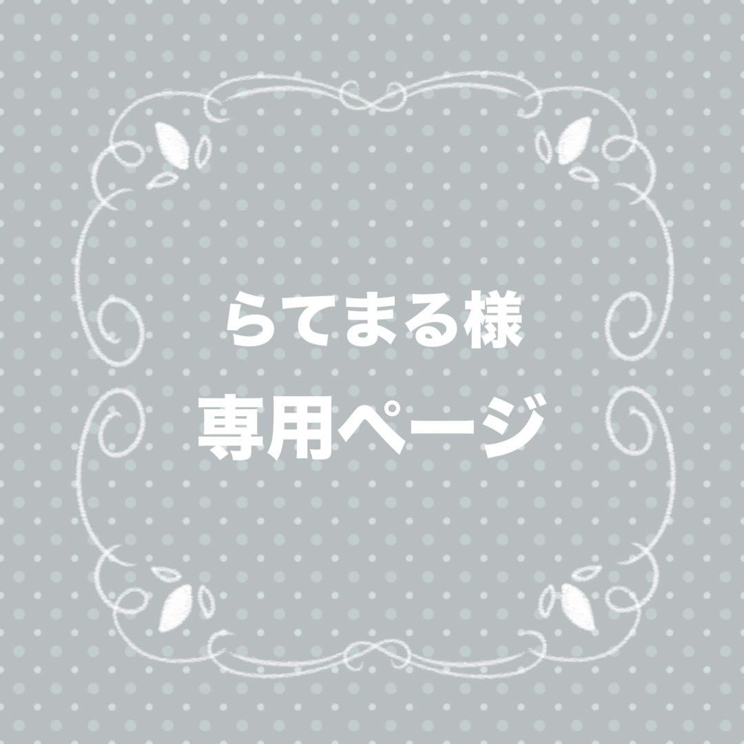 ˗ˏˋ らてまる様専用ページ ˎˊ˗
