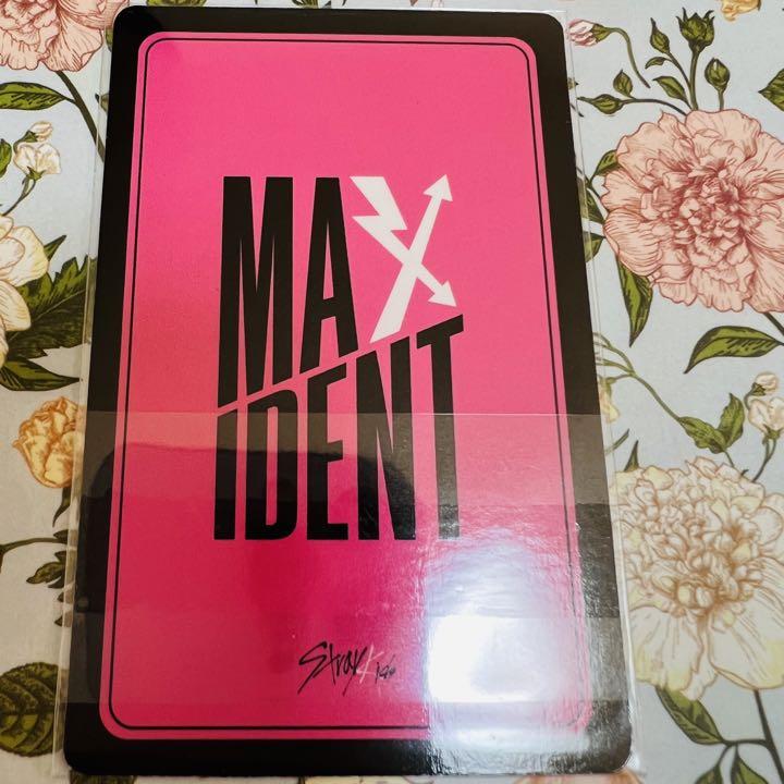 Stray Kids MAXIDENT SKZOO JYP 特典 バンチャン