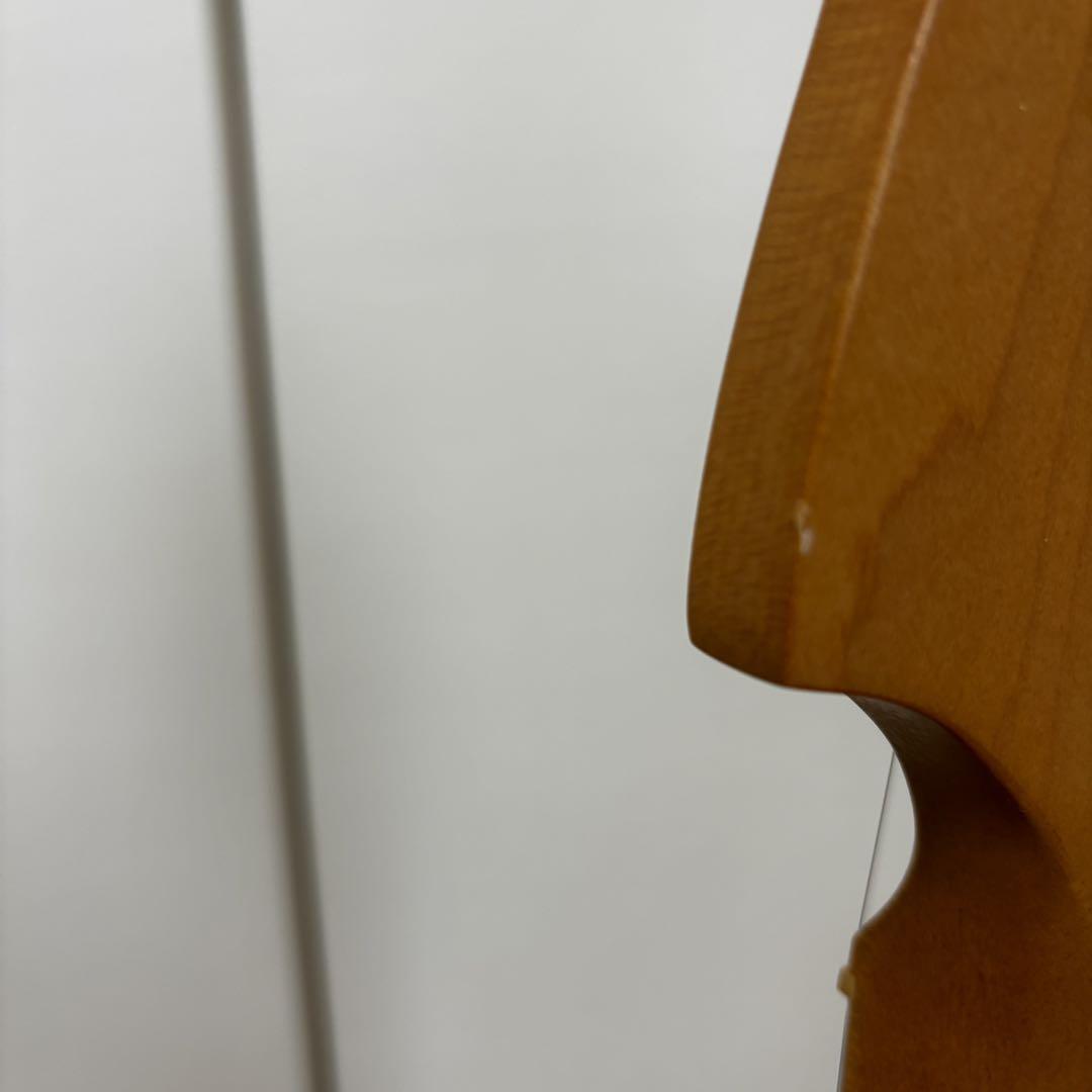 ※週末特価FENDER  PLAYER PLUS メテオラ® HH