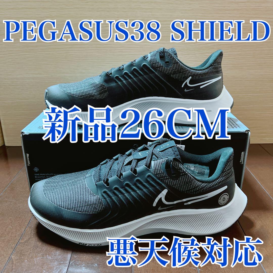ナイキ　エアズーム　ペガサス38 シールド