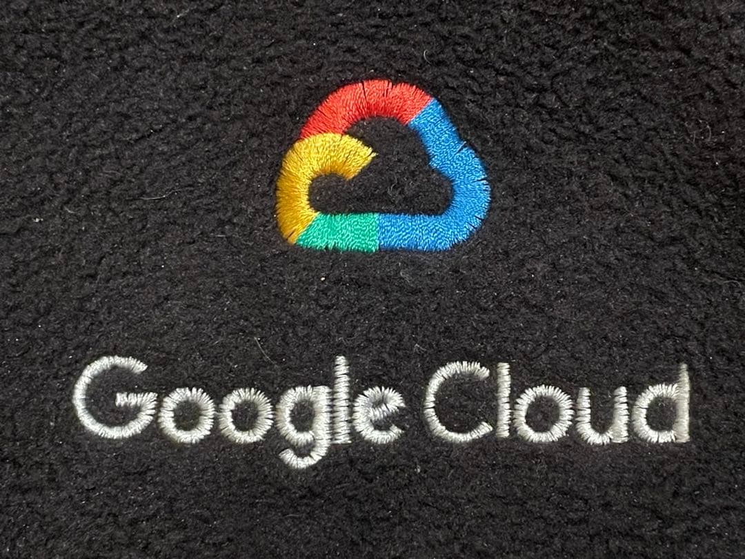 Patagonia パタゴニア シンチラ ジャケット Google Cloud Patagonia パタゴニア シンチラ ジャケット Google Cloud