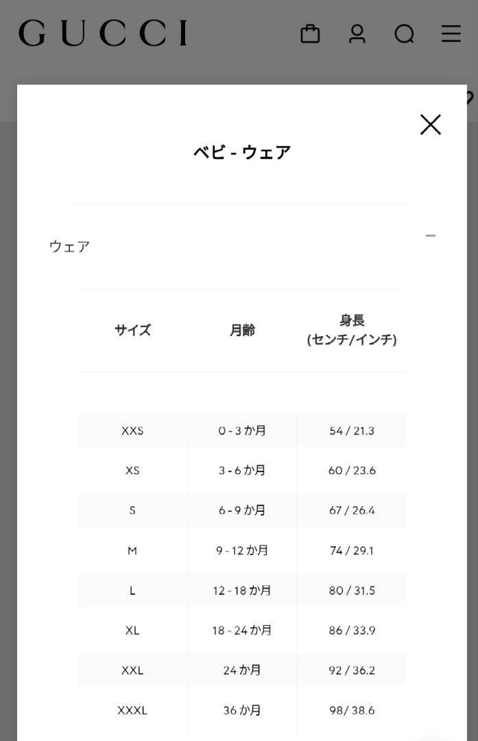 GUCCIキッズパーカー③ GUCCIベビーパーカー グッチパーカー フーディー