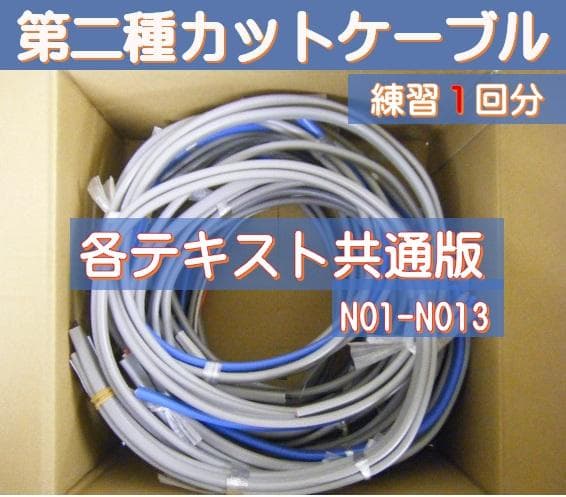 新品 / 第二種電気工事士 / カットケーブル ＋ 電気材料一式 フルキット