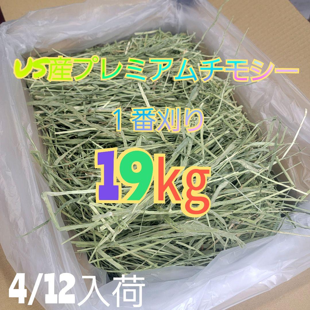 チモシー 19kg ウサギ モルモット うさぎ デグー チンチラ １番刈り 餌