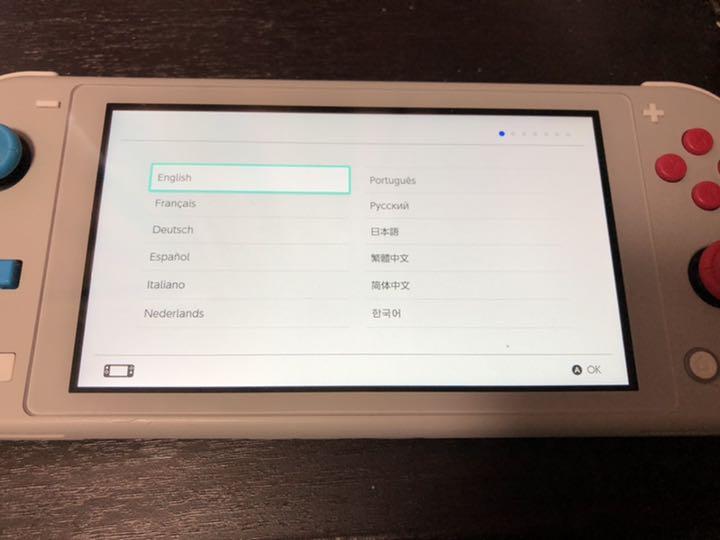 驚きの破格値 Nintendo Switch NINTENDO SWITCH LITE ザシ… PiR3v-m74372094510 NEW ARRIVAL