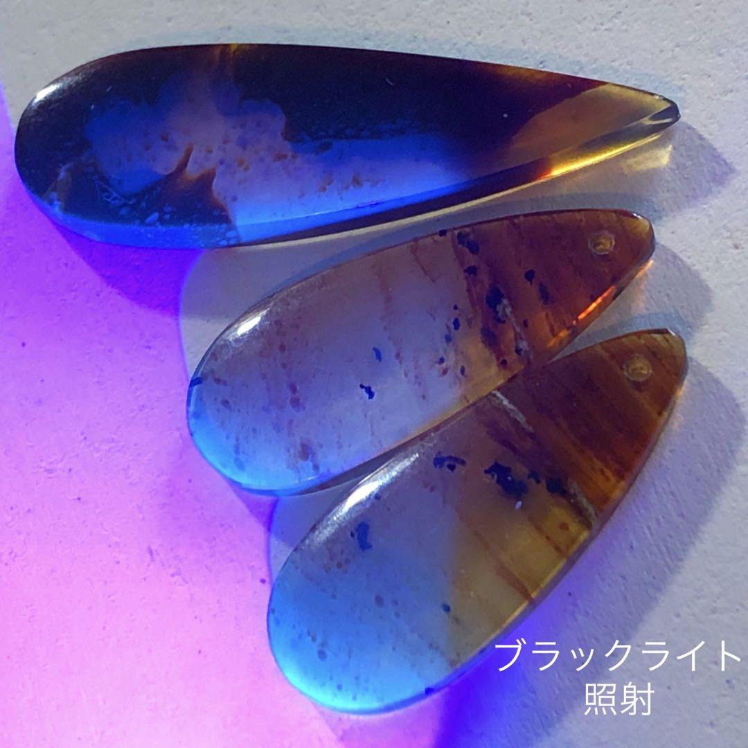 天然石♡フォッシルコーラルのピアス14kgf