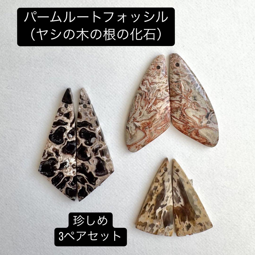 パームルートフォッシル（ヤシの木の根の化石）穴あき3ペアセットNo.1