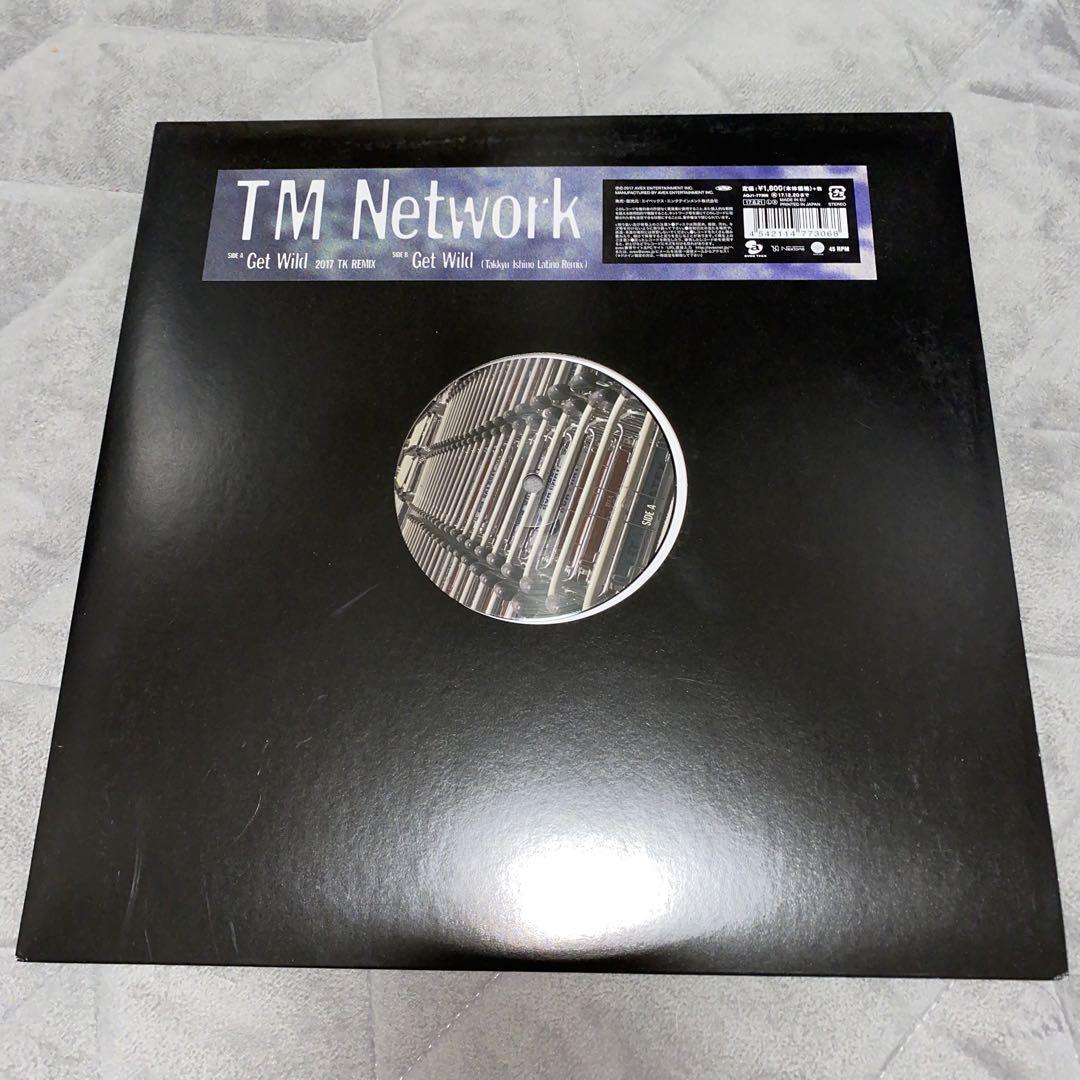 TM Network Get Wild 2017 レコード