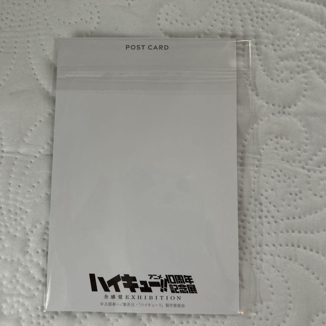 ハイキュー!! 10周年記念展 書き下ろし ポストカード クリア