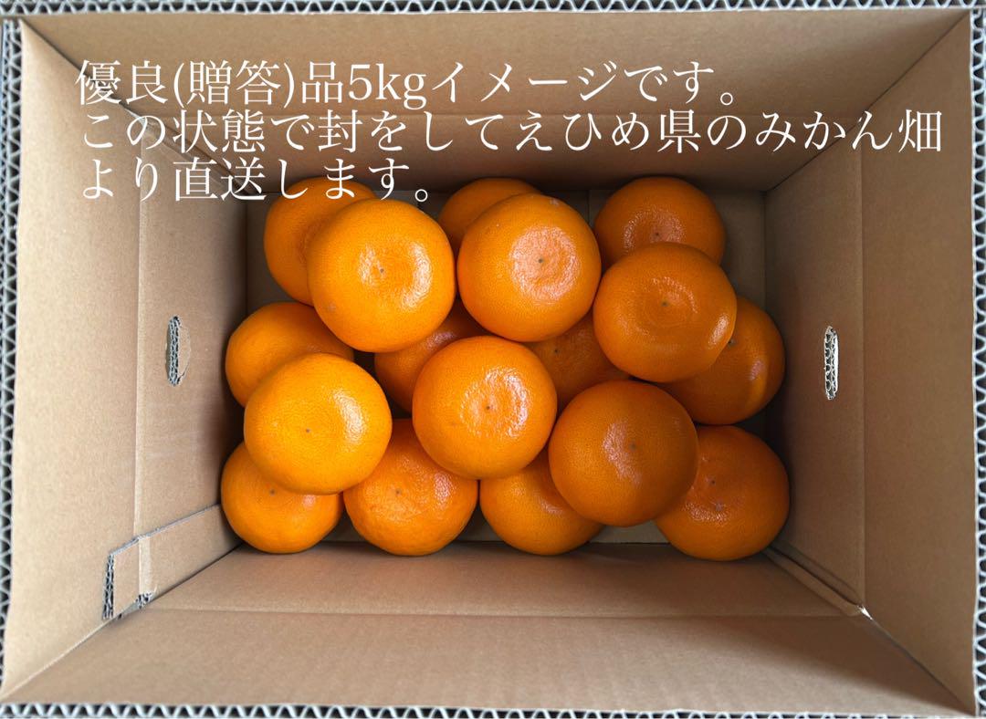 (優10) 優良品 せとか 約5kg 混合玉 えひめ県産