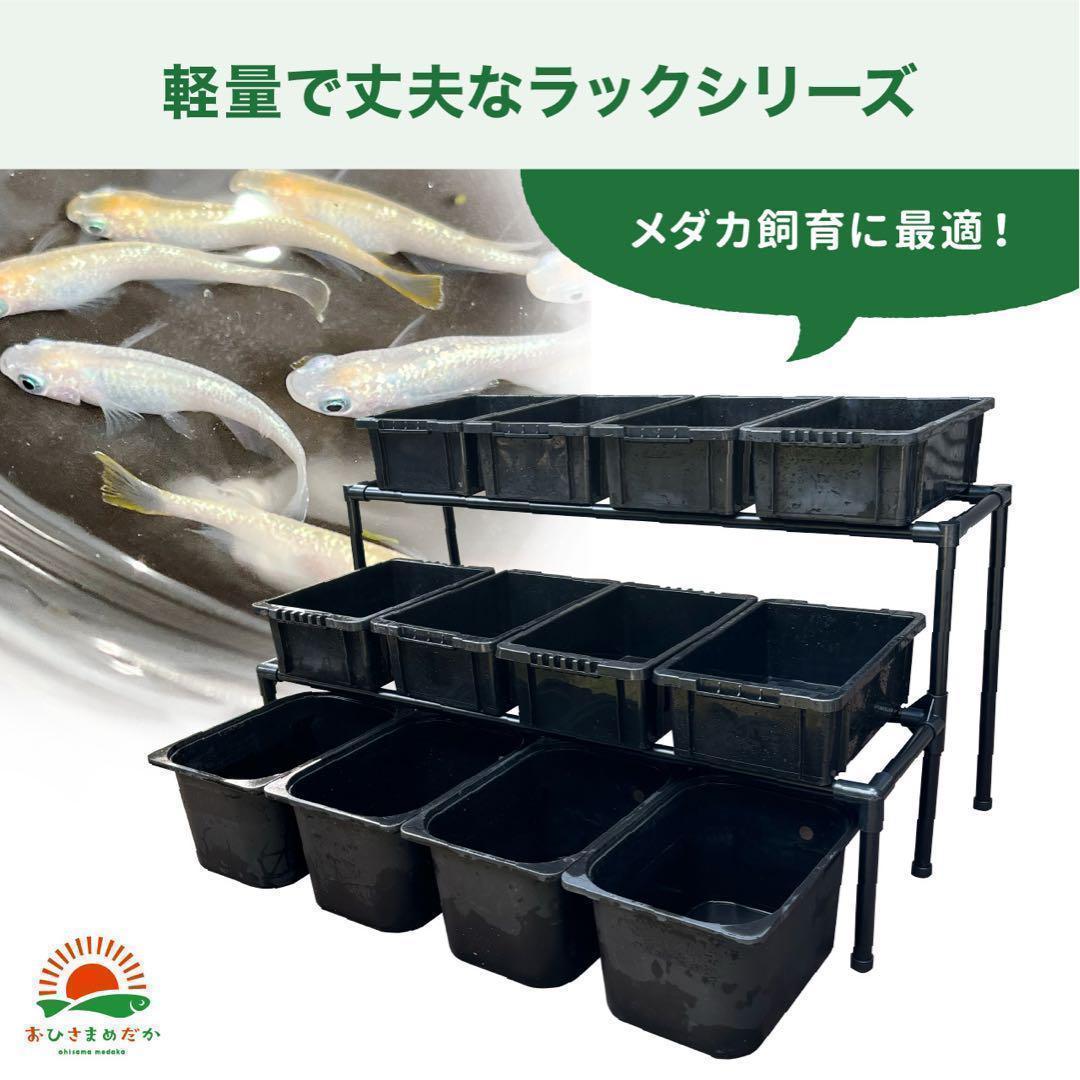 ★メダカ飼育ラック　白1段6個置き★ めだか飼育棚 NVBOXビオトープ