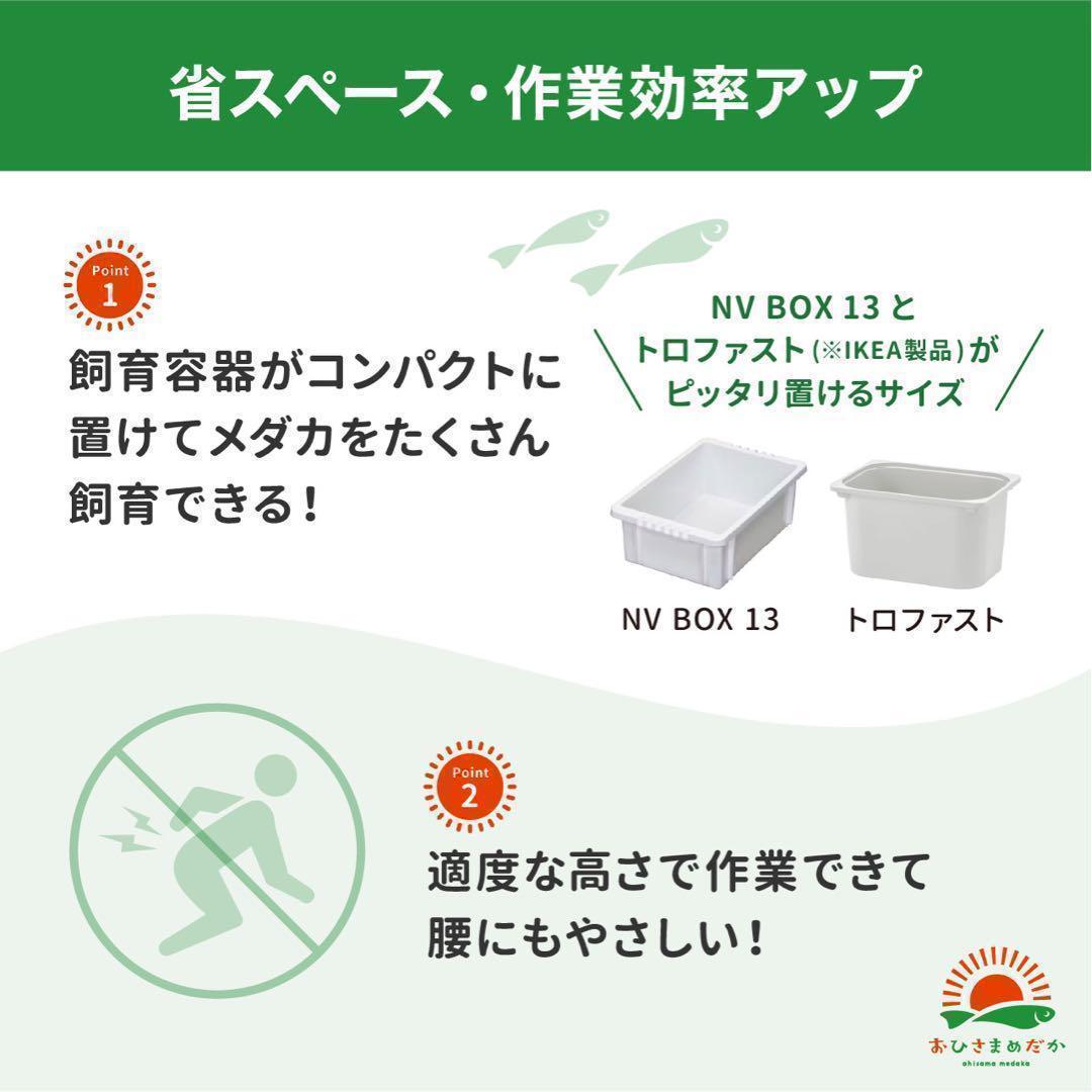 ★メダカ飼育ラック　白1段6個置き★ めだか飼育棚 NVBOXビオトープ