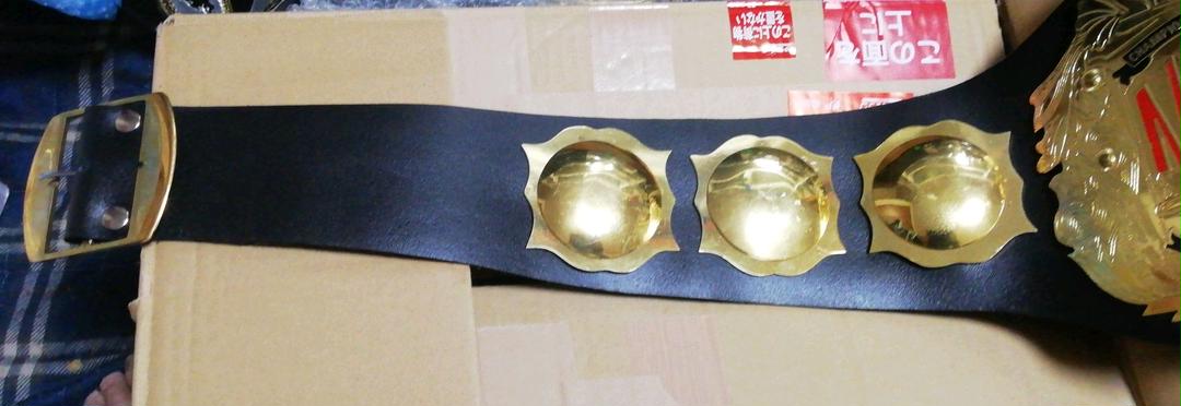 品質保証新作 大幅値下 NWA世界ヘビー級チャンピオンベルト ドリータイプ yqoVj-m74419314744 安い正規品