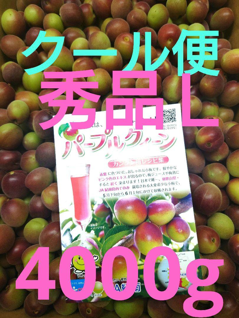 クール便　そろそろ終了　パープルクイーン秀品Ｌ 4000g
