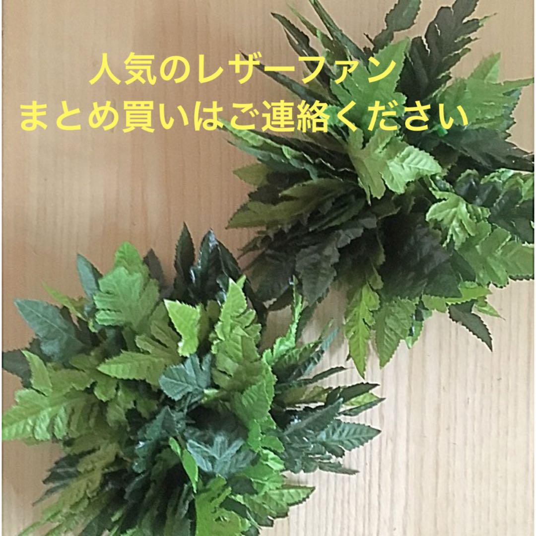 売れ筋介護用品も！ フラダンス メルカリ - 2個セット{ 【レザーファーン】ブレスレット フラダンス