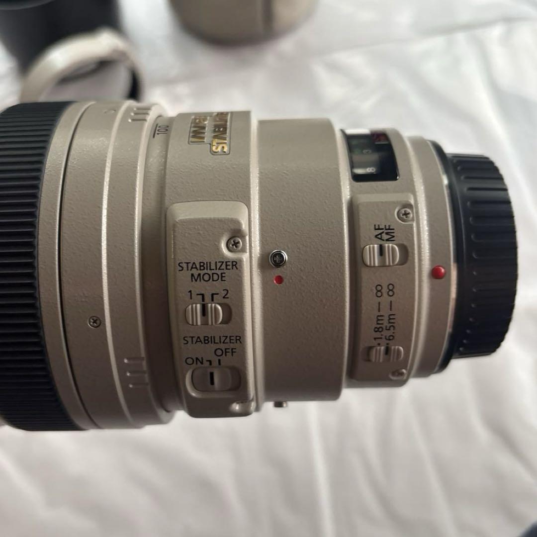 Canon EF100-400mm F4.5-5.6L IS USM