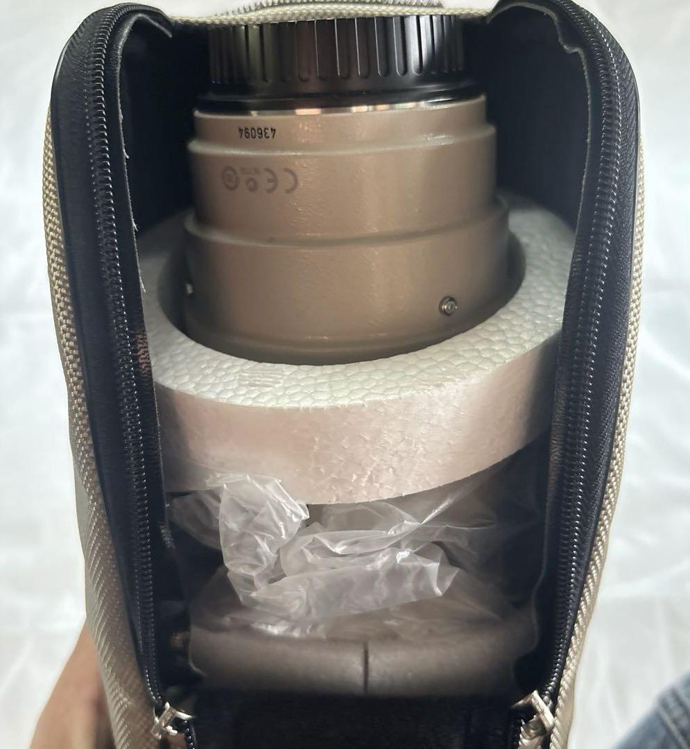 Canon EF100-400mm F4.5-5.6L IS USM