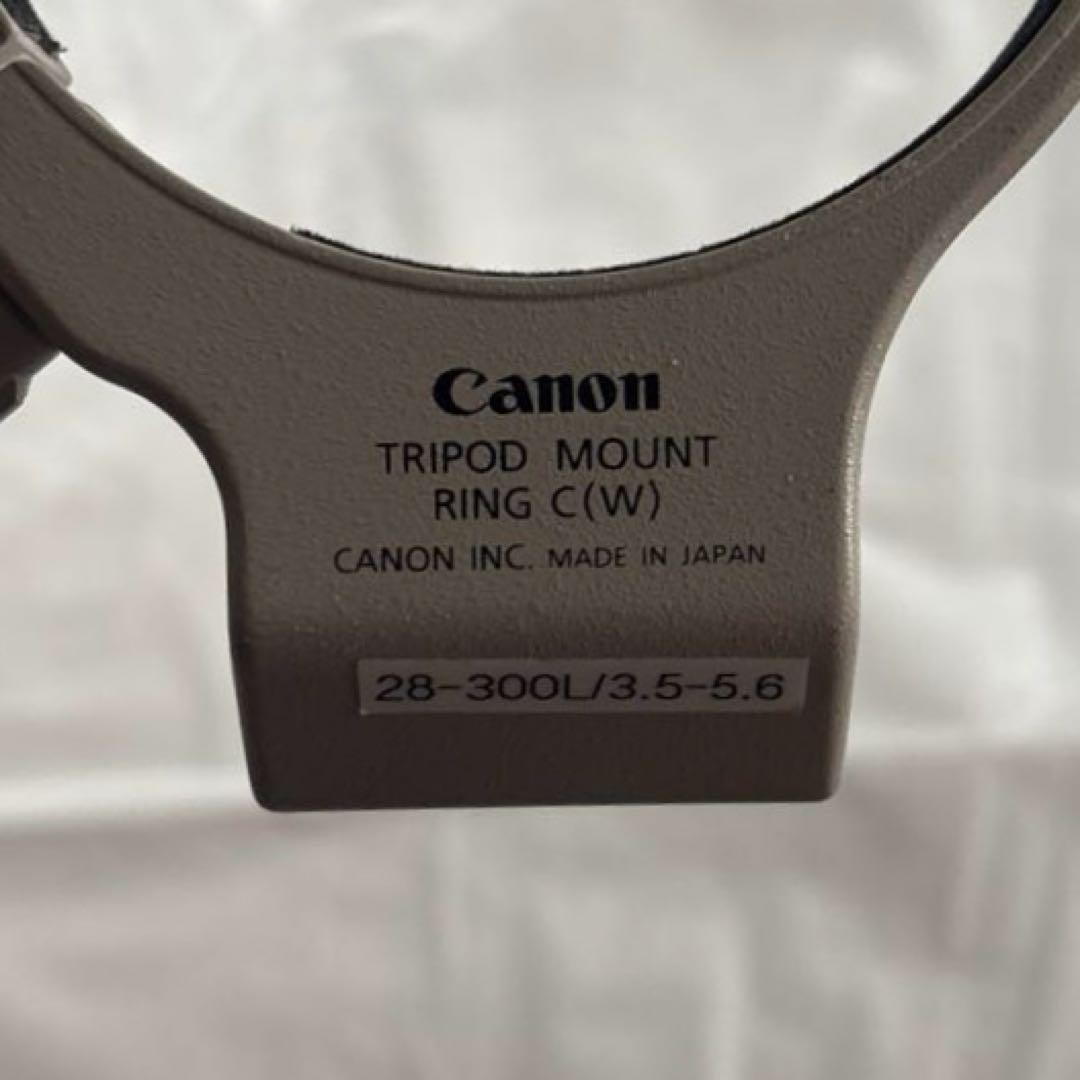 Canon EF100-400mm F4.5-5.6L IS USM