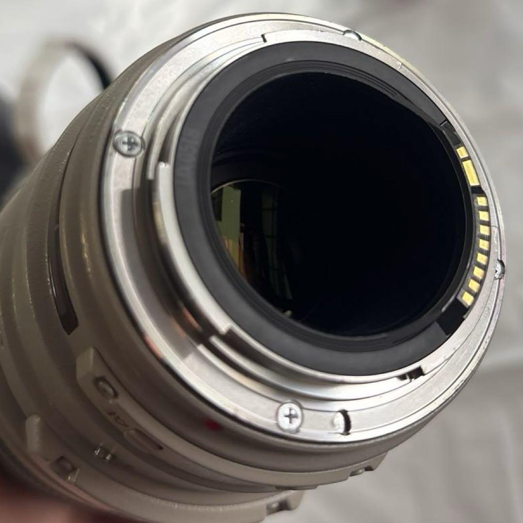 Canon EF100-400mm F4.5-5.6L IS USM