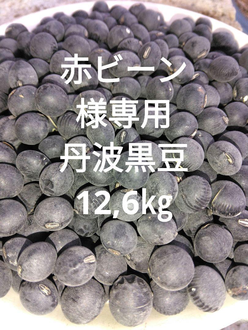 栃木県産丹波黒豆12,6㎏