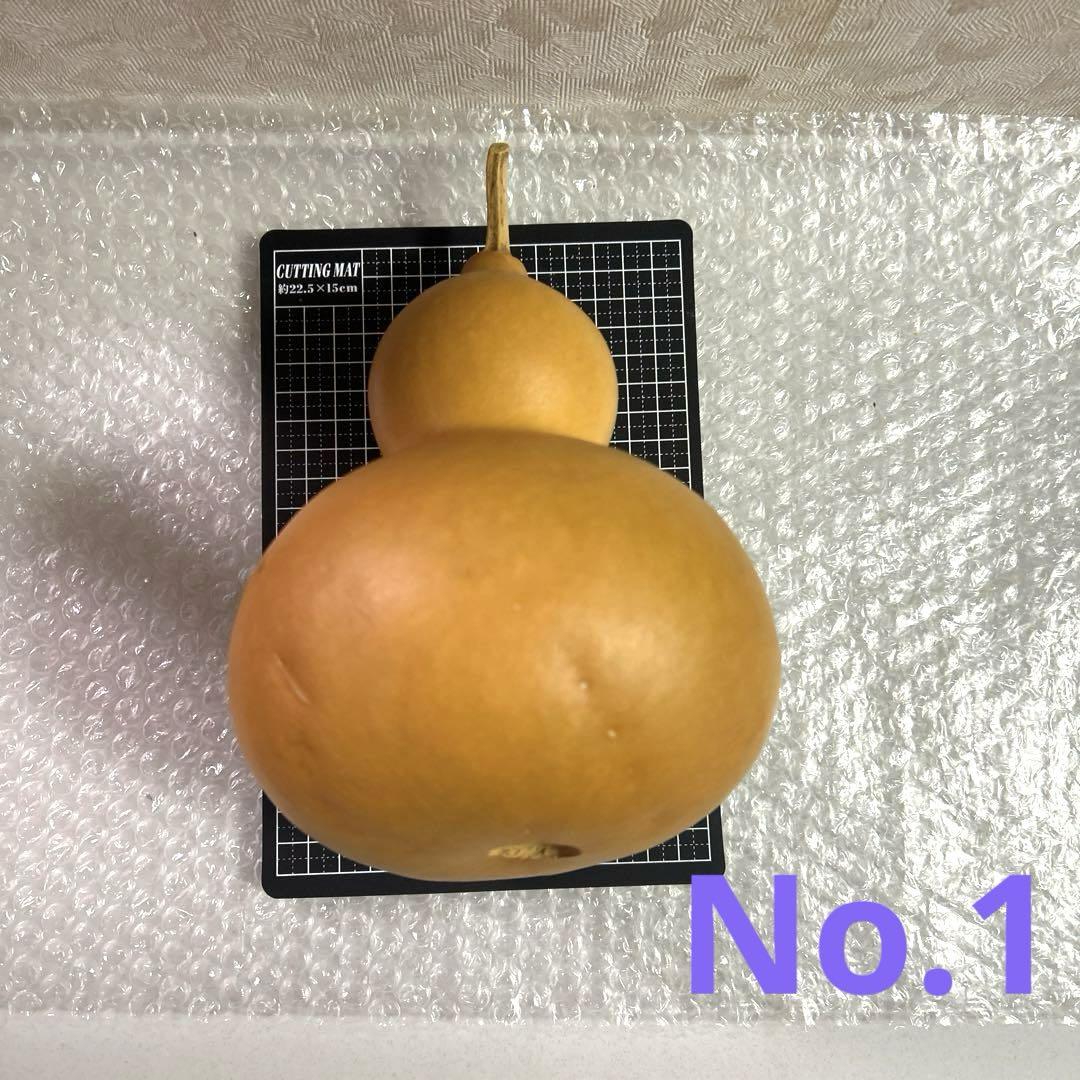 ひょうたん　瓢箪　ひょうたんランプ　瓢箪ランプ　素材　ハンドメイド材料 A ひょうたん 瓢箪 ひょうたんランプ 瓢箪ランプ 素材
