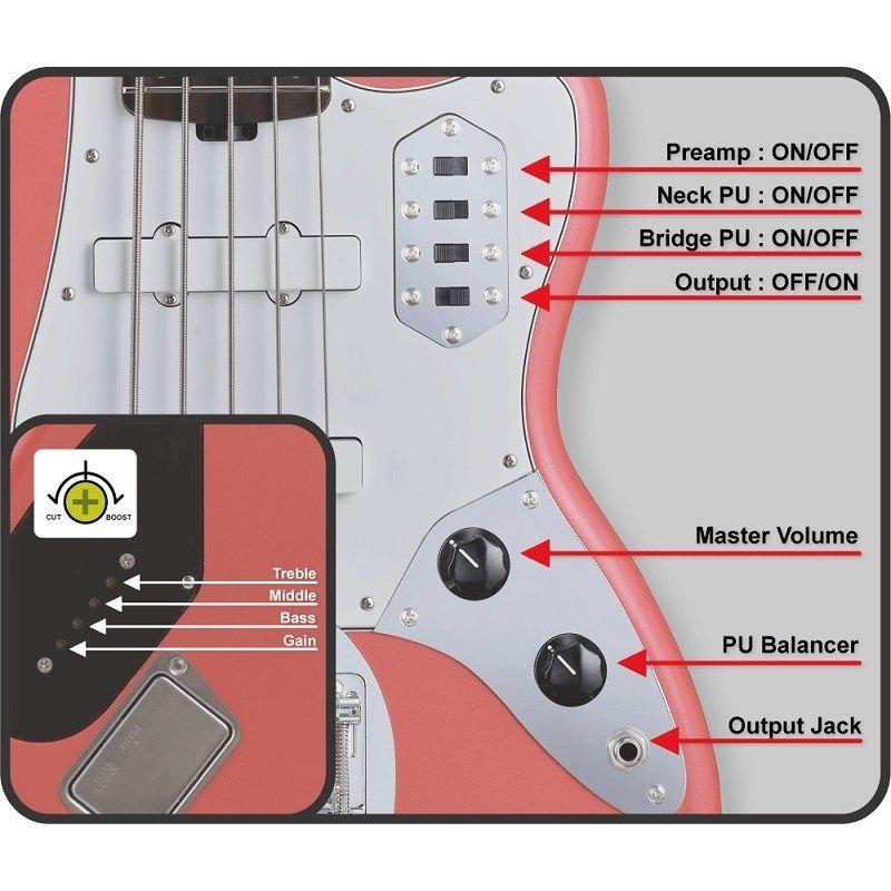 【ほぼ新品】EDWARDS E-BASS V  tetsuyaモデル