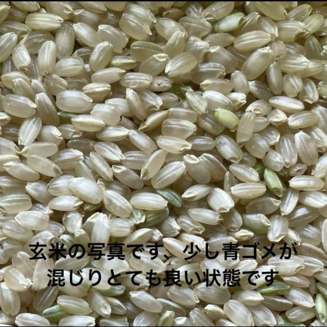 令和6年度産　ヒノヒカリ　玄米10キロを精米してのみの販売です　送料込
