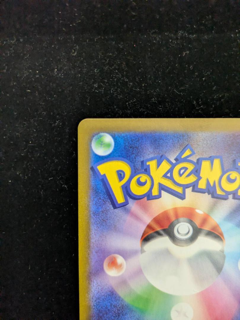 ポケモンカード　 ルチアのアピール SAR 楽園ドラゴーナ 091/064