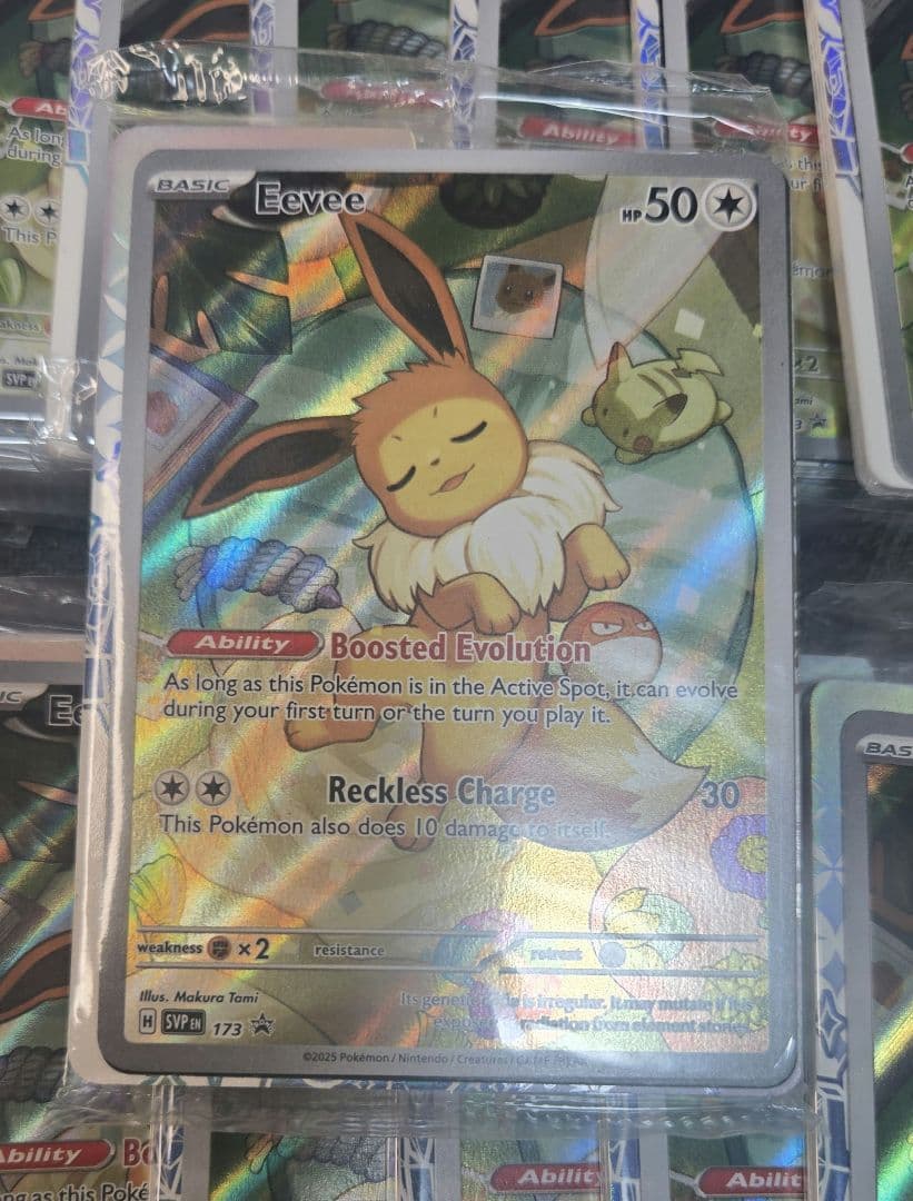 【未開封】イーブイ svp173 英語 プロモ 50枚セット