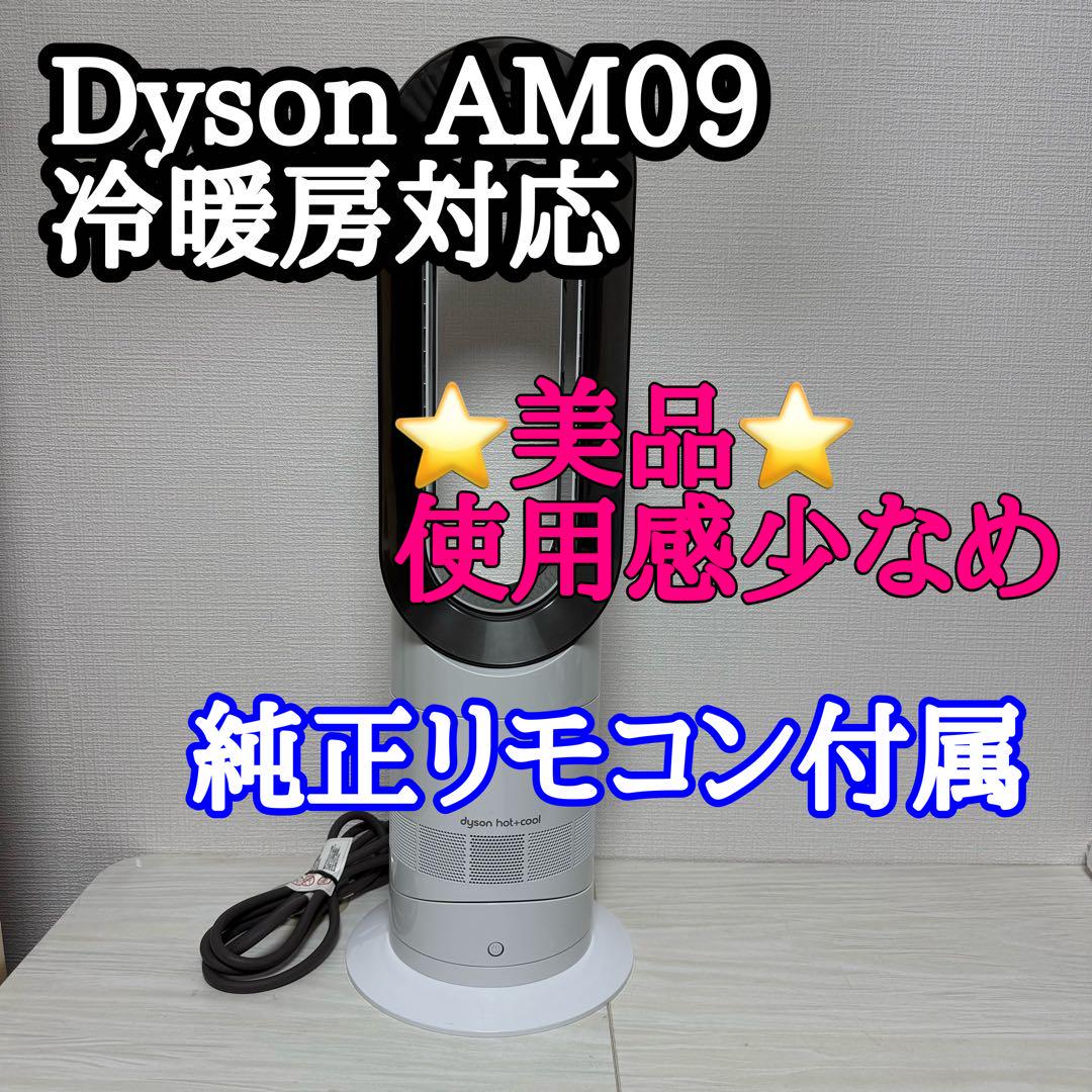 【美品】Dyson AM09 冷暖房対応 リモコン付 動作確認済み