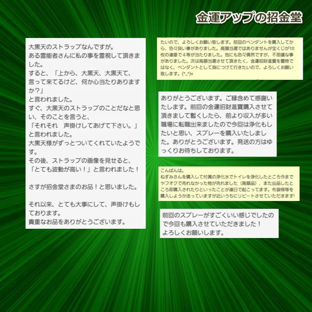 金運アップ 干支 置物『いのしし 猪 亥』 風水置物 金運アップ