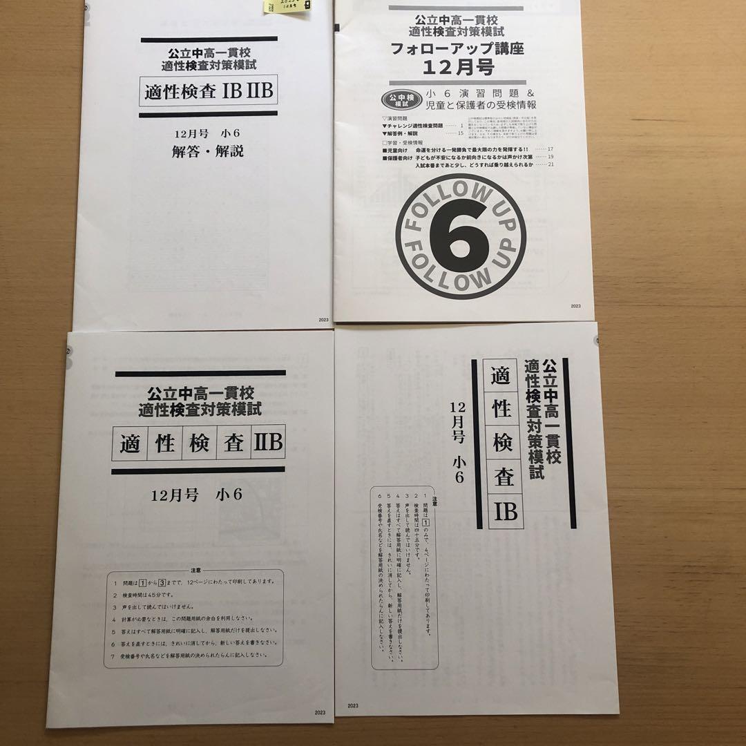 2024年 小6 公中検模試　公立中高一貫校適性検査対策模試 公中検模試 公立中高一貫校 適性検査対策模試 適性検査IIB 3回分