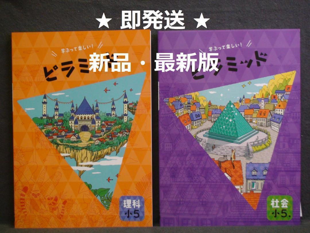 サピックス ザキューブ 立体切断 SAPIX 中学受験 算数