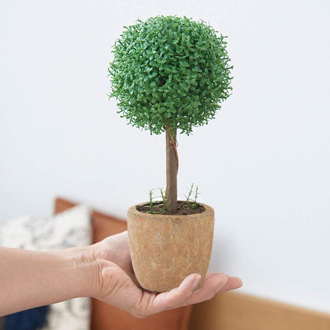 メルカリ 観葉植物 光触媒 キレイな空気を実感 人工 フェイクグリーン その他 5 712 中古や未使用のフリマ メルカリ 観葉植物 光触媒 キレイな空気を実感 人工 フェイクグリーン その他 5 712 中古や未使用のフリマ