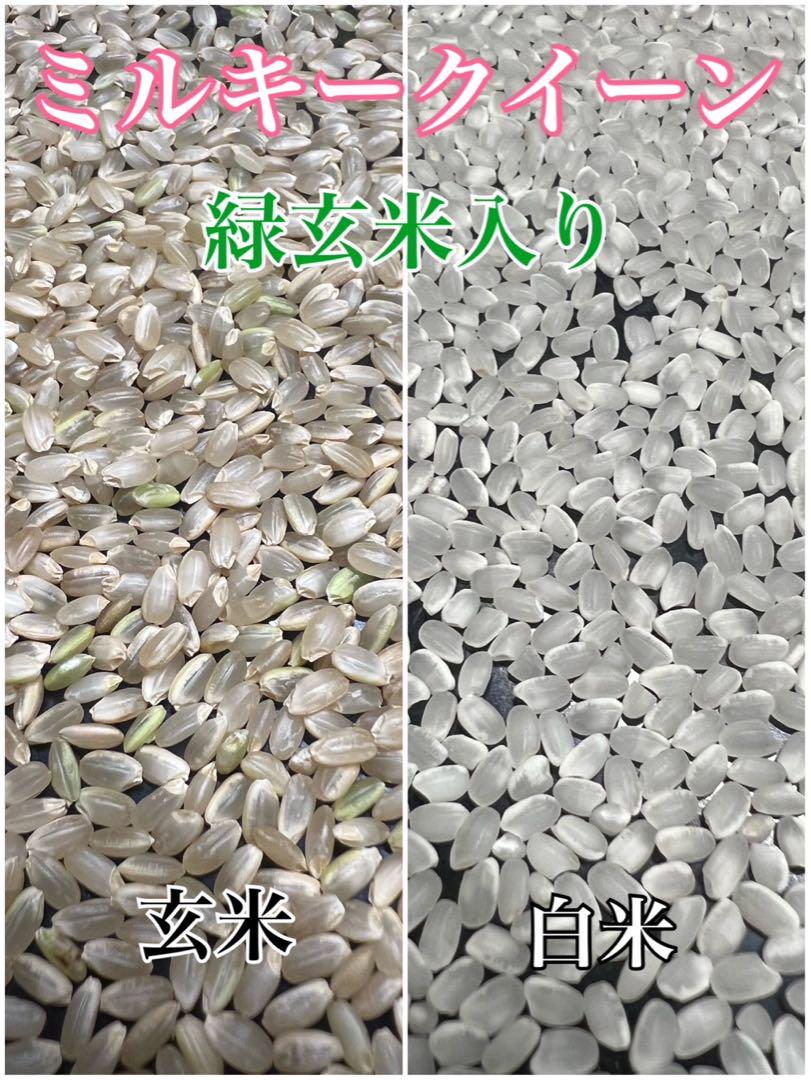 みわ　精米小分け