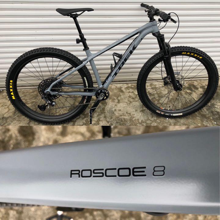 超人気の 自転車本体-TREKの2019年モデル世界数量限定のマウンテンバイク