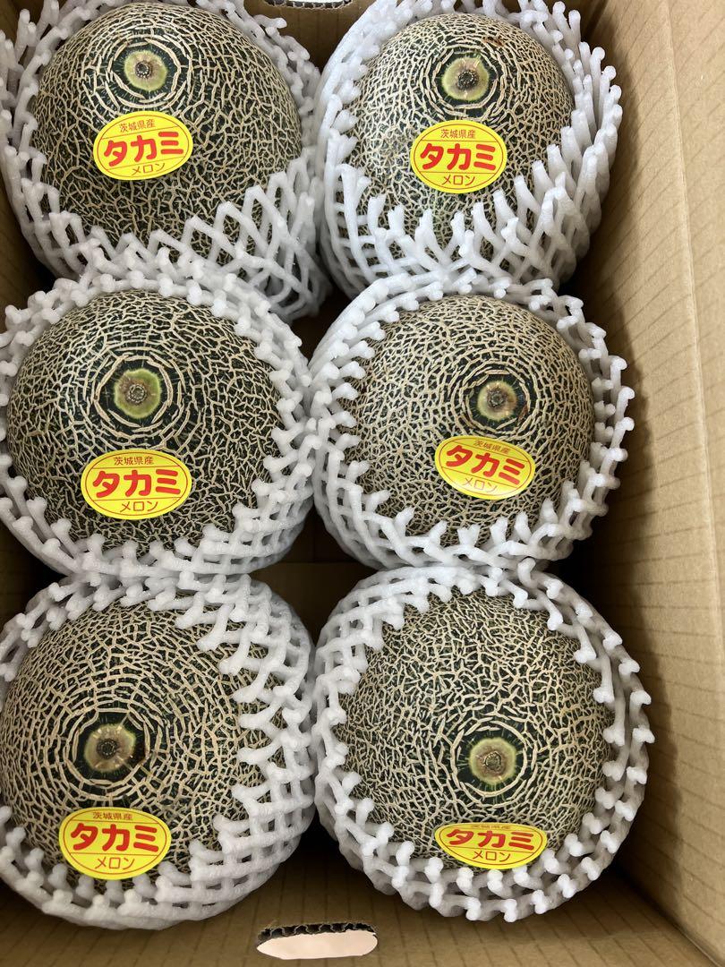茨城産タカミメロン1箱6玉L大サイズ