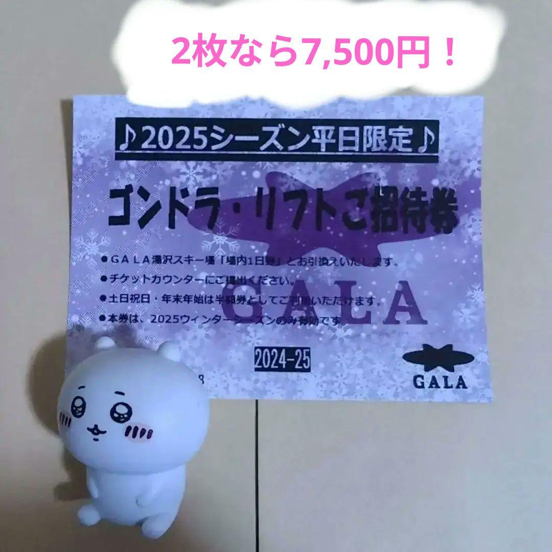 2025シーズン ゴンドラ・リフトご招待券 GALA ペア