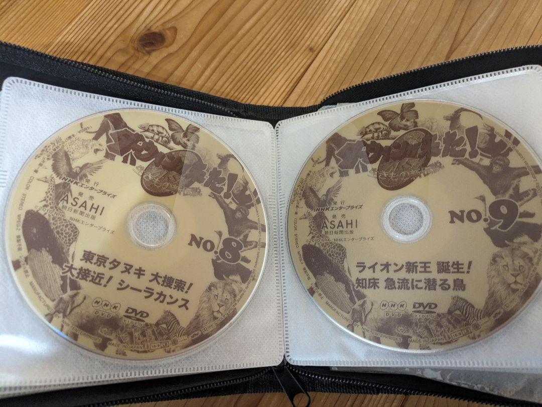 NHKダーウィンが来た！DVDブック1〜20巻 - メルカリ