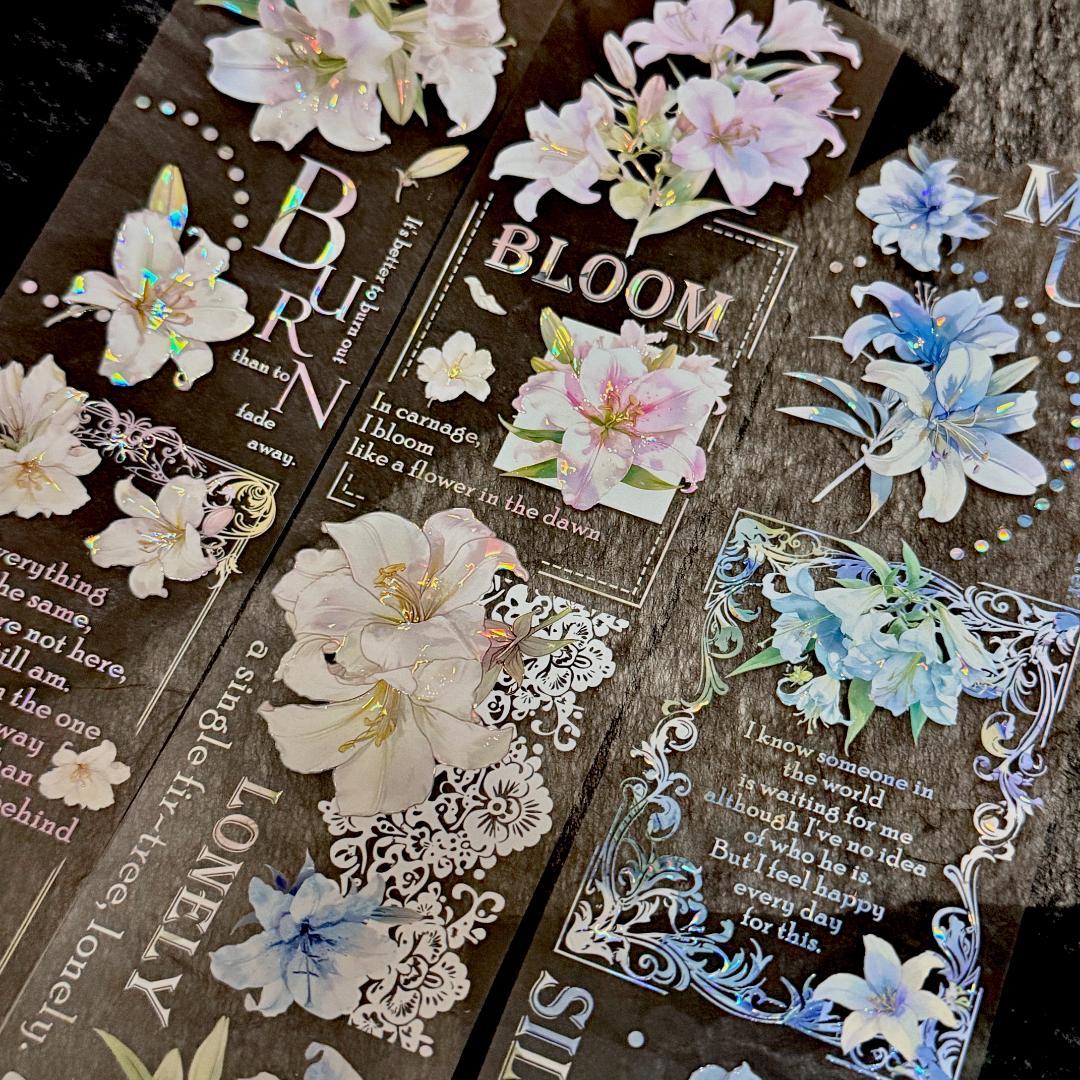 QYマステ6月 ◆Lacebound