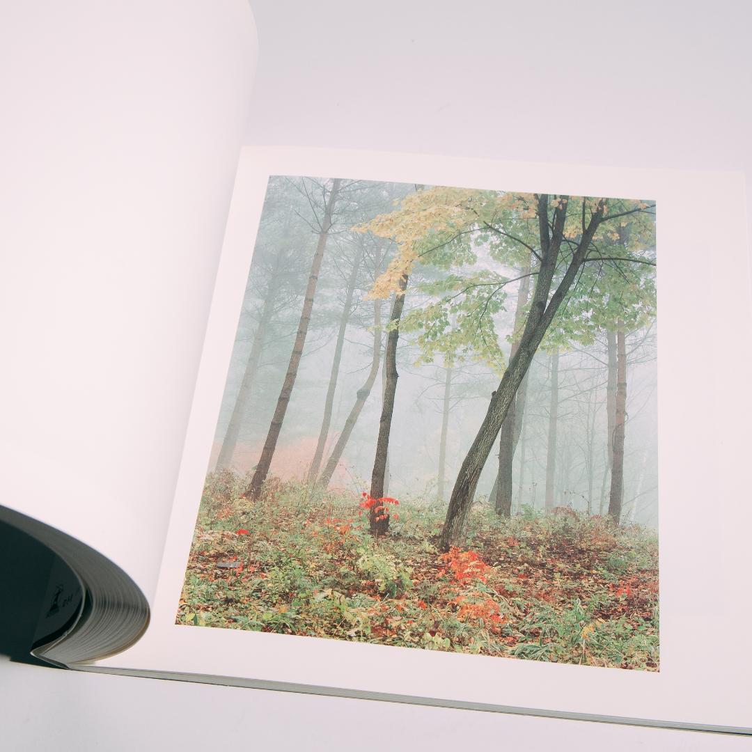 瀧本幹也　LOUIS VUITTON FOREST